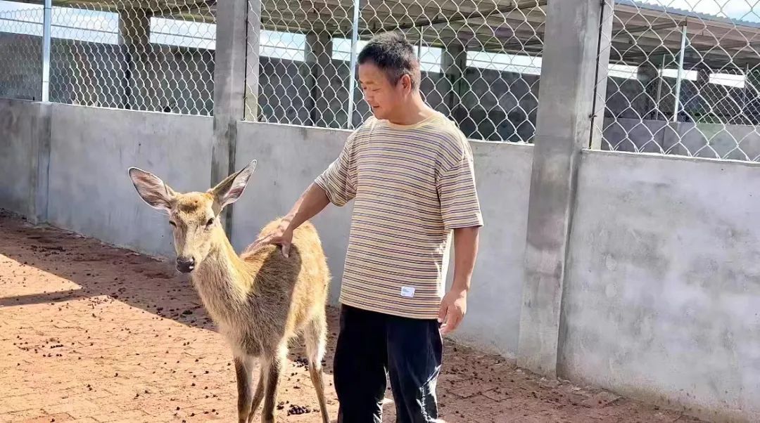 小笨虎娱乐